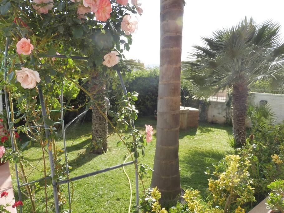 Appartamento In Villa A 100 Metri Dal Mare Fontane Bianche Ngoại thất bức ảnh